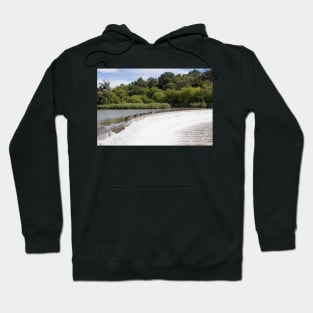 Weir Geese Hoodie